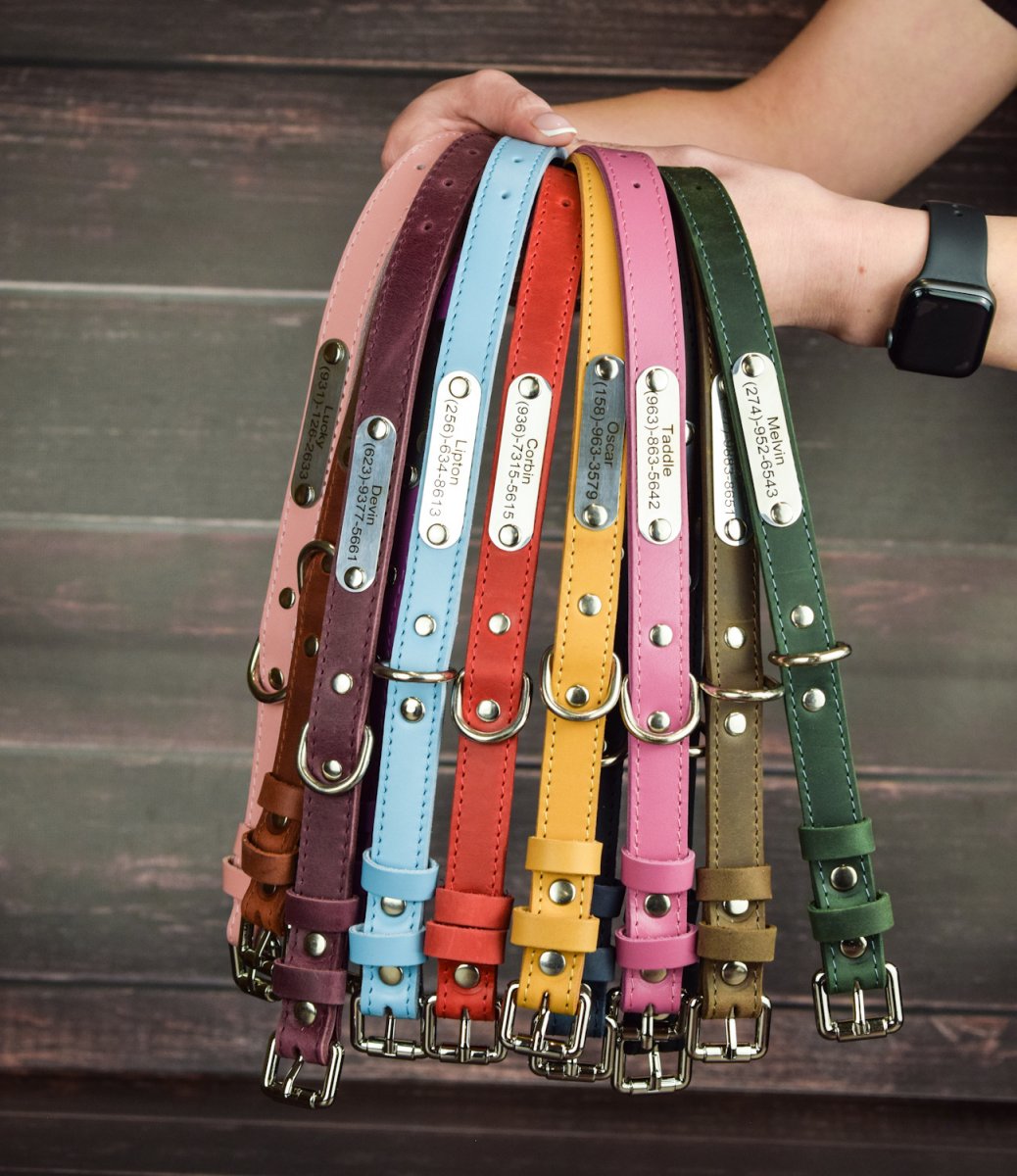 Leather collar for animals