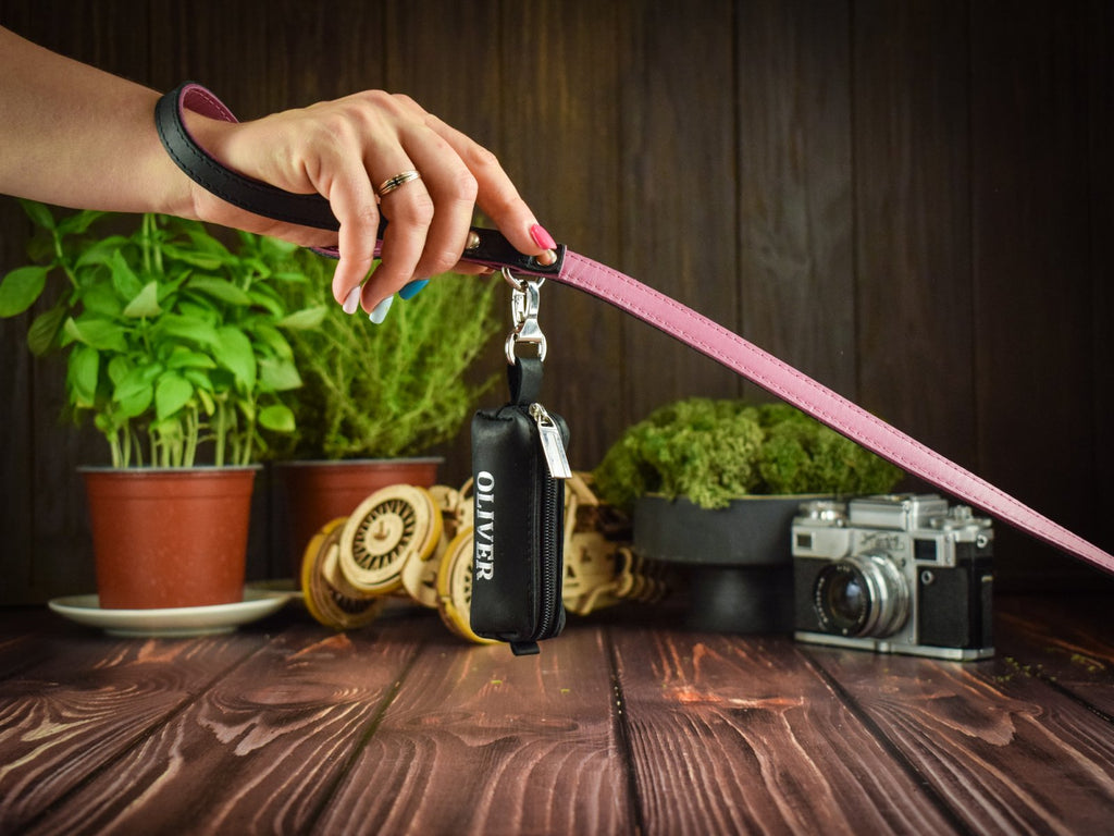 Leather leash with pouch bag