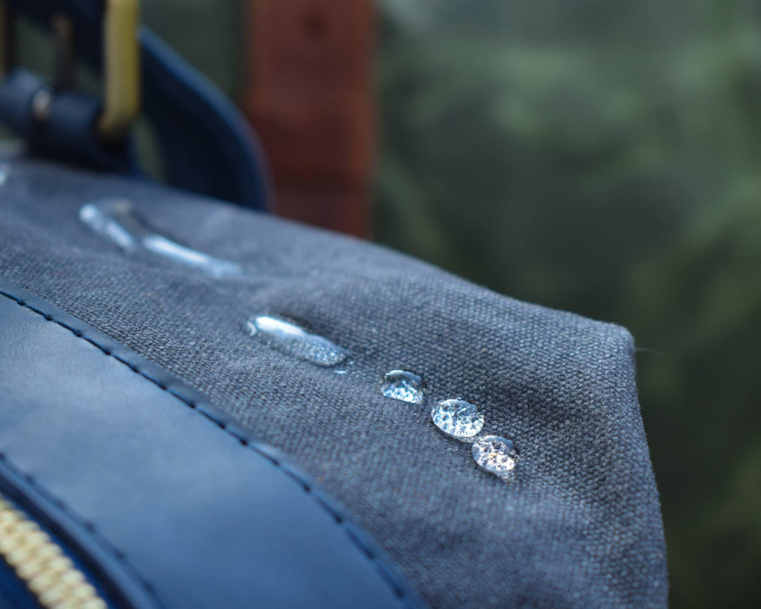 Crazy Horse/Canvas 15" Valiente