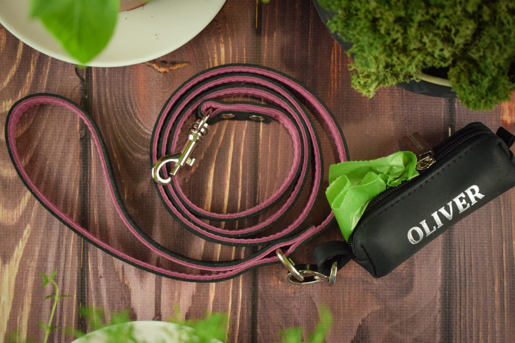 Leather leash with pouch bag