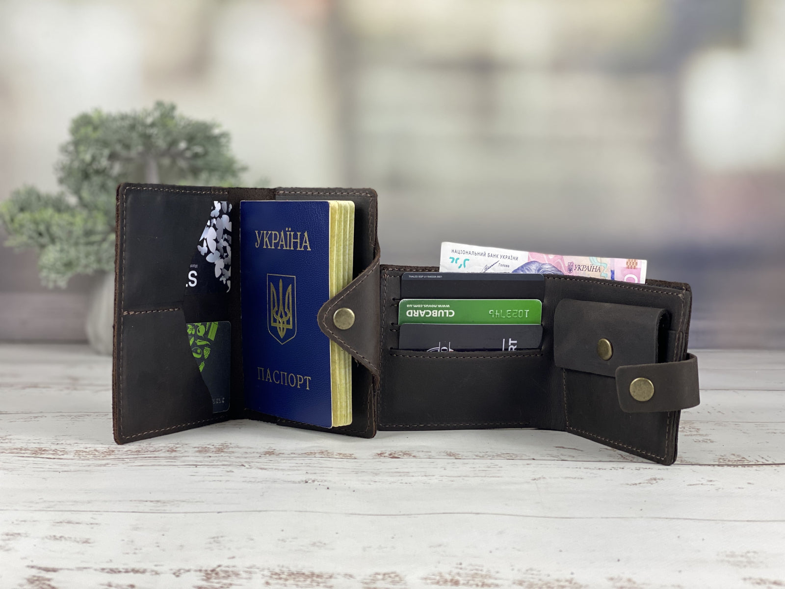 Document cover 033 + wallet 117